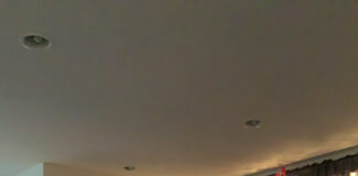 ‘Music is kind of like journaling for me’ — Musicians and their artistic process in quarantine