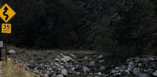 Letter from the smokey, sheep-filled mountains