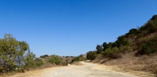 A Day in the Life: Halle Steckel