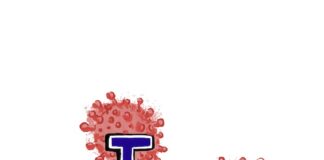 Opinion: A guide to modern adulthood during a pandemic