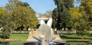 Presidential search committee swiftly begins with listening sessions