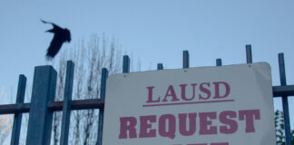 Amidst falling COVID-19 cases and deaths, perspectives on school reopening differ in NELA