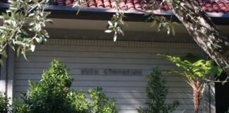 Students and instructors in Wellness classes adapt to new remote environment