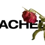 MarisaEmoto_Bachelor