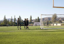 Alumni project Pass uses predictive analytics to play smarter, not harder