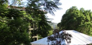 Masks, tents, whiteboards & trees: Classrooms in the time of COVID-19