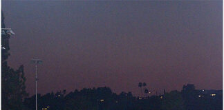 New athletes bolster Occidental’s rosters following recruiting season