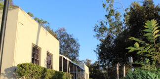 ‘We always felt like she had our backs’: Emmons director Sara Semal leaves Occidental