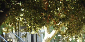 ‘It all turned out the way it was supposed to’: Naomi Miyamoto ’21 selected as finalist at KCET student film festival