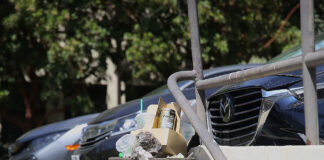 Photo Essay: Lovely lost litter