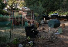 Current FEAST Garden staff plan resignation and hiring committee for Spring 2022