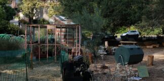 Current FEAST Garden staff plan resignation and hiring committee for Spring 2022