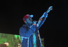 FallFest feels like a ‘lucid dream’