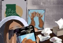 Opinion: Instagram masks Gabby Petito’s reality