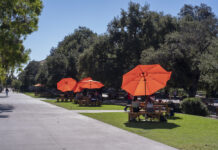 How small is too small? Students speak to Occidental’s ‘close-knit community’