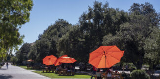 How small is too small? Students speak to Occidental’s ‘close-knit community’