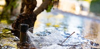 Diving into Occidental’s water usage