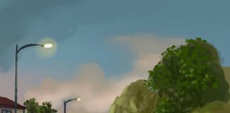 Opinion: Give people, not cars, the right of way on campus car usage