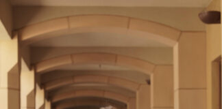 A Day in the Life of Bookstore Manager Donna Huebner: ‘She’s not intimidating at all’ donna huebner