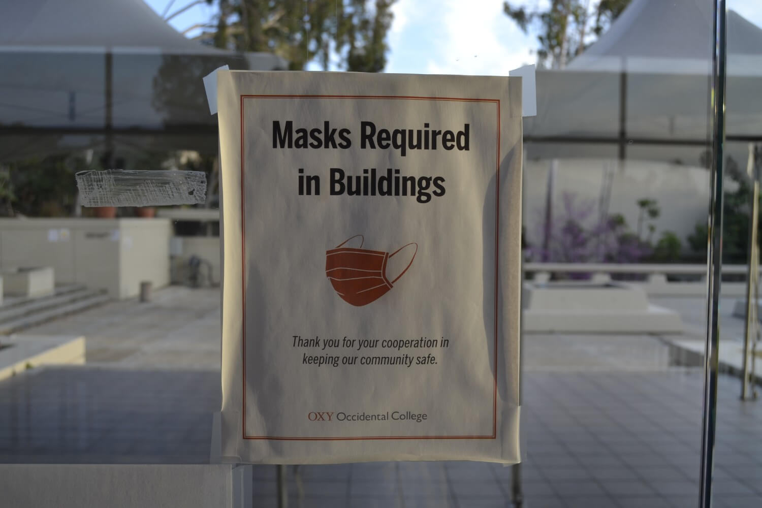 mask policy