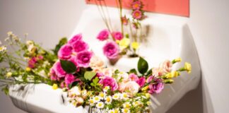 “Wherever we will to root” blooms at Oxy Arts live flowers