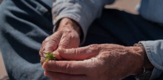Sustainability efforts bloom at Temple Beth Israel hands and weeds