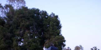 LOA self-defense workshops empower participants: ‘Giving people a sense of agency’ self-defense