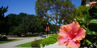 Photo essay: Occidental takes on new colors