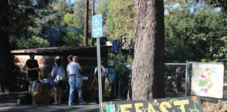 FEAST hosts first farmers market at Bruce Steele Garden