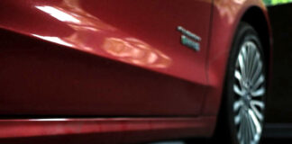 Professors determine next steps after Occidental lifts mask mandate Mask Mandate