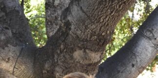 Athletes Christian Corcoran and Antigone Lambros are celebrated by their teams for their positive influences Christian Corocan AOTW