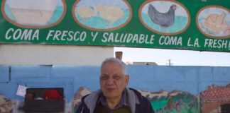 As egg prices soar, local restaurants feel the impact Eggs 2