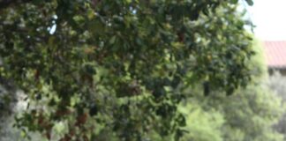 STOXY: Student-led classes of ‘mini-passions’ stoxy