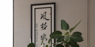 Regent Coffee on York lends a helping hand while brewing authenticity Regent Coffee