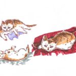 pets_media_solvejlee