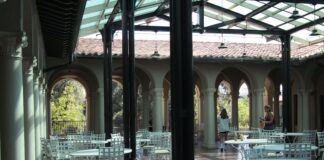 Occidental students hold hunger strike demanding college divestment, student and immigrant protections Branca Patio