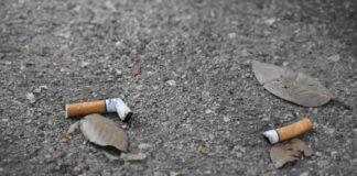 Campus litter ‘takes away from the nature and environmental wellness of campus’