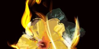 Opinion: I’m still watching Lahaina burn. Are you? Maui Fires