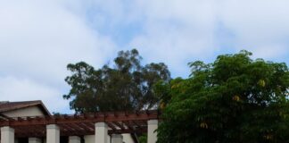 Local residents treat Occidental campus like a walk in the park