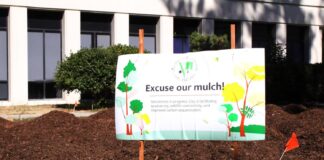 Occidental’s first micro forest will have macro impact