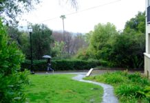 Campus withstands heavy rainfall, despite anticipated threat