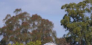 Wendy Sternberg’s circuitous academic journey takes her back to East Coast