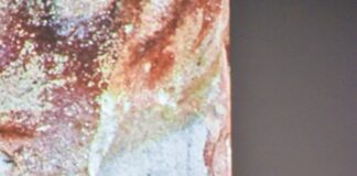 Julie Mehretu ‘redefines the boundaries of contemporary art’