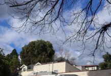 Mold found in Food Justice House forces residents to relocate