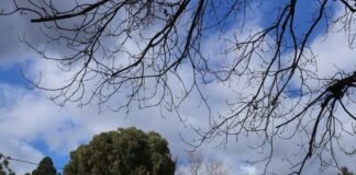 Mold found in Food Justice House forces residents to relocate