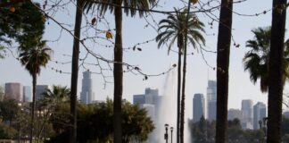 With 559 to choose from, why not take an afternoon stroll in your local LA park?