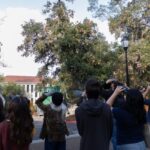 BirdWalk_ArtsAndCulture_Donovan_2