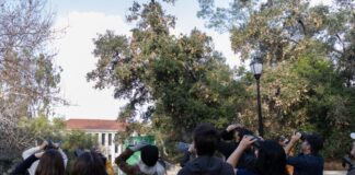 Beginner birders take flight at community bird walk with Moore Laboratory of Zoology