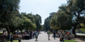 ‘The saddest I’ve ever seen campus’: students react to the presidential election