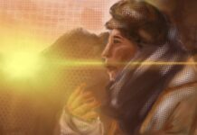 Echos of the Heights